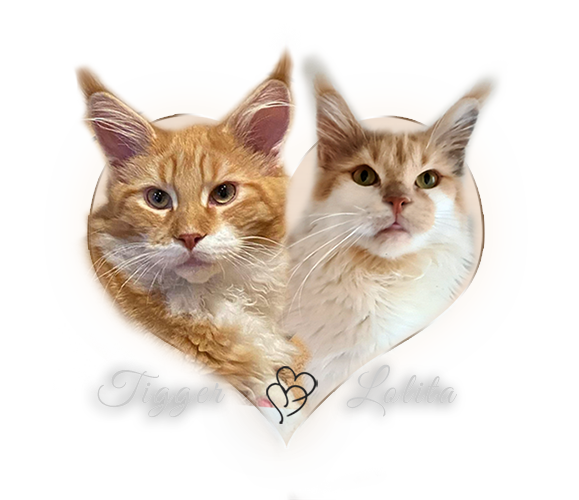 tigger-lolita